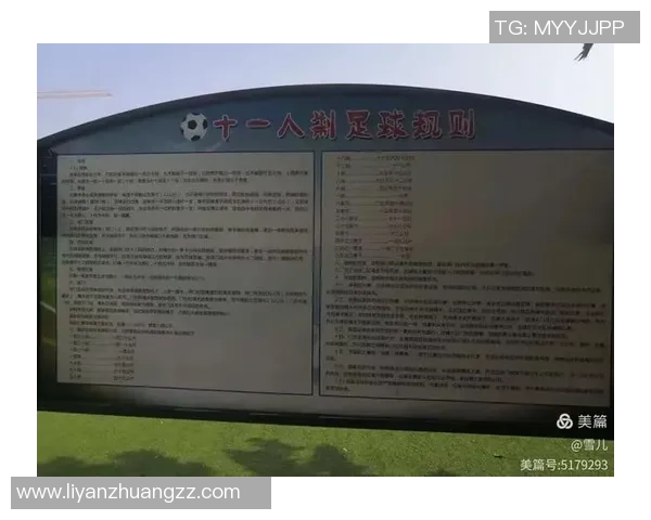 全球女足球星历史地位排名及其影响力分析